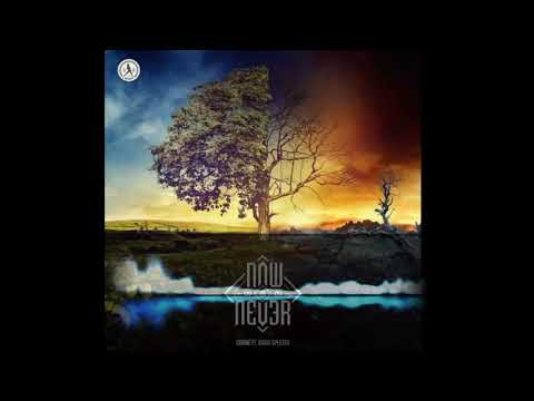 Coone Ft. David Spekter - Now Or Never (Sapa 170bpm Edit)