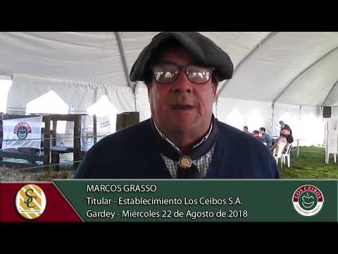22-08-18 Nota Marcos Grasso - Titular - Establecimiento Los Ceibos S.A. - Gardey