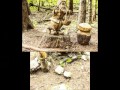 Lo Spirito Del Bosco