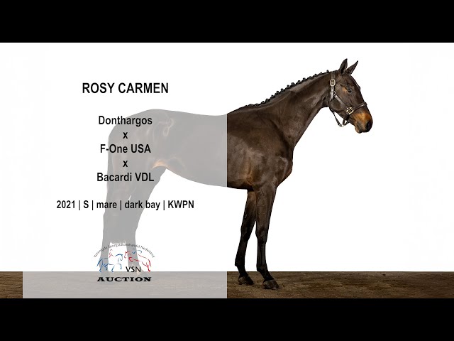 Auction video