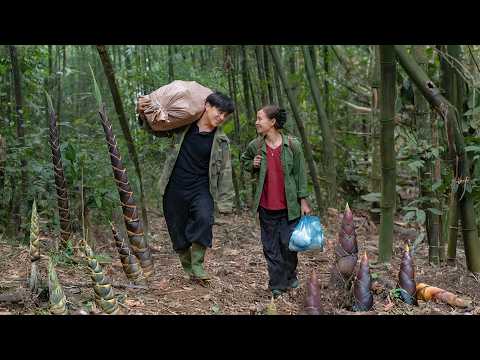 A Quiet Day in the Forest – James and Diep Harvest Bamboo Shoots and Heal Their Hearts