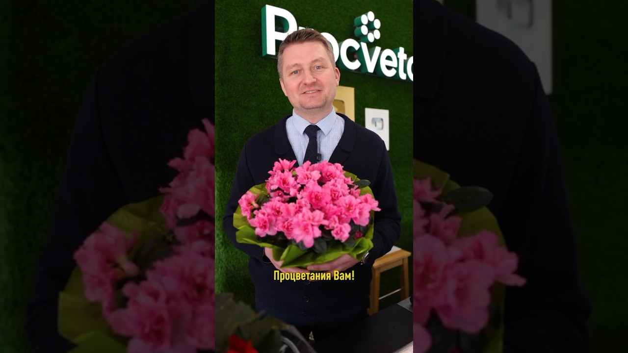 🌹 Дорогие и очаровательные дамы, с 8 Марта!