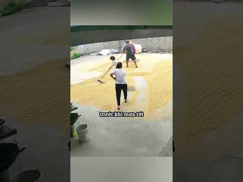 Đứa con gái đáng đồng tiền bát gạo ❤️