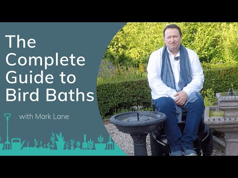 image-How tall should bird baths be?