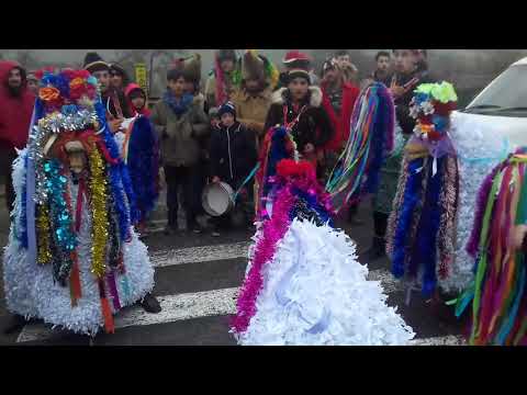 Capra Mare Budesti 2017