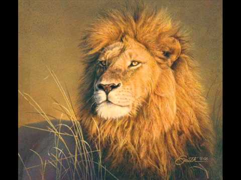 Os Almirantes - Lo hizo para impresionarme ( Reggae Cristiano )