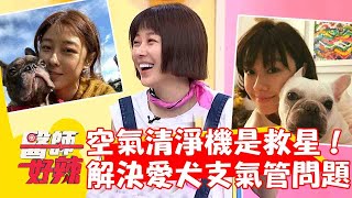 灰塵太多過敏空氣清淨機是救星！李維維解決愛犬支氣管問題？【#醫師好辣】20230709 part1 李維維  蔡逸姍