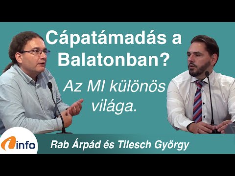 Cápatámadás a Balatonban? Az MI különös világa. Rab Árpád, Tilesch György, Inforádió, Aréna