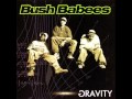 Bush Babees (feat. De La Soul & Mos Def) - The ...