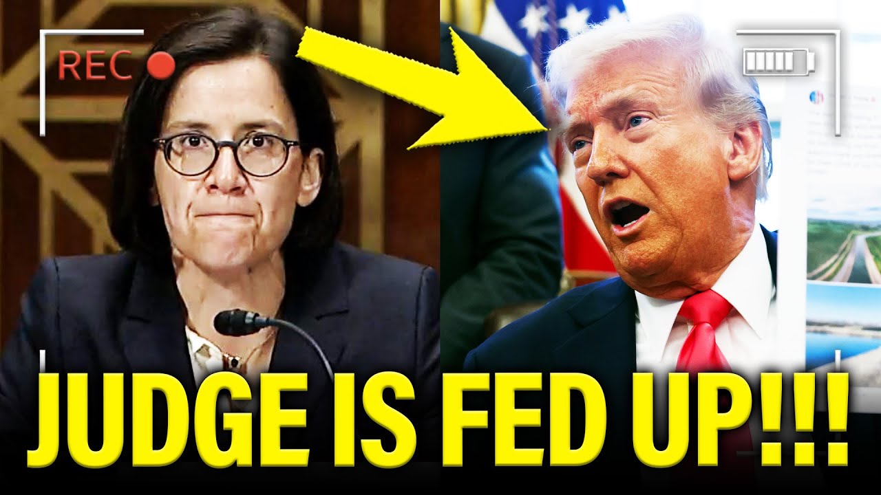 Trump DOJ TORN TO SHREDS in Federal Court Hearing