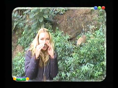 Grandes Bellezas Del 2000 - Sábado Bus