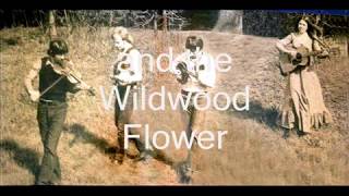 Kate Wolf  IT AIN&#39;T IN THE WINE