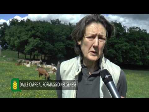 Agritg - 11^ puntata