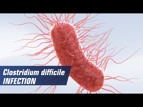 Clostridium difficile infection