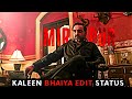 Kaleen Bhaiya Mass Edit Kaleen Bhaiya Edit Status King Of Mirzapur Edit Kaleen Bhaiya Edit