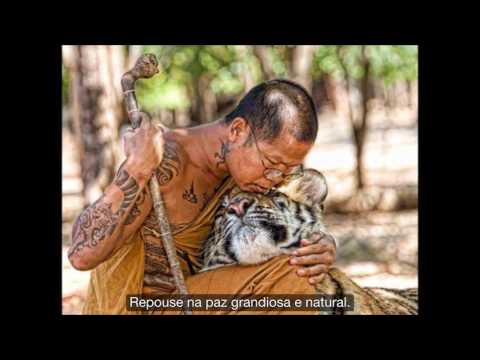 "Repouse na Paz Grandiosa e Natural", poema de Nyoshul Khenpo Rinpoche, por Sogyal Rinpoche