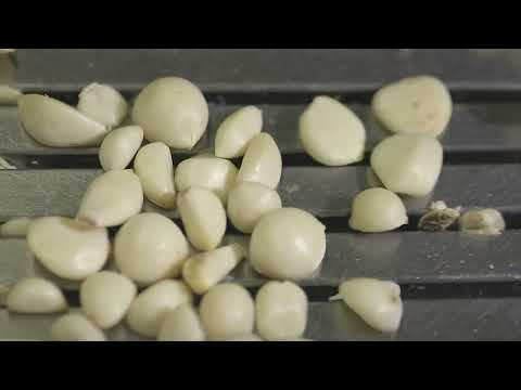 Post-harvest solutions for fresh produce