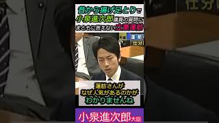 【※小泉進次郎VS蓮舫】昔から揚げ足とりで小泉進次郎議員の質問にまともに答えない立憲蓮舫 みんな見てくれてるよ #自民党 #shorts #ショート #高市早苗 #小泉進次郎 #立憲民主党  #蓮舫