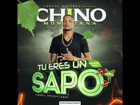 Chino Montana - Tu Eres Un Sapo (By  Chael Produciendo )