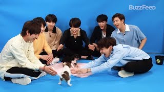 Download lagu if bts interviews were dubbed mp3