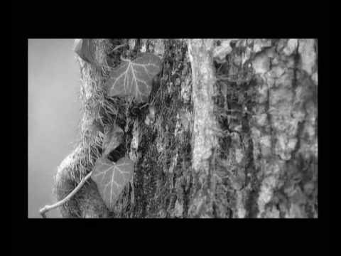 GALIANO i BARBARA "Kišni ljudi"