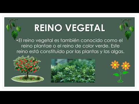 Cómo signar Reino Vegetal en LSE