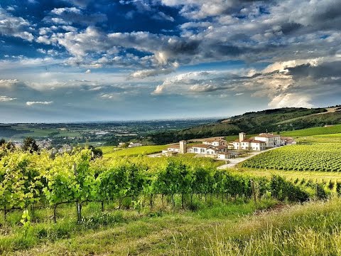 Find your style, choose your wedding venue