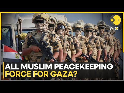 Report: Only Muslim Soldiers Will Serve As Gaza Peacekeepers | WION news