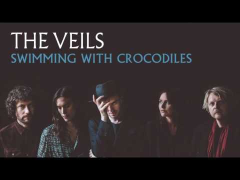 The Veils -  Swimming With Crocodiles (Audio)