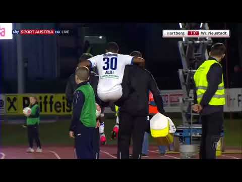 Highlights  TSV Hartberg   -  SC Wiener Neustadt