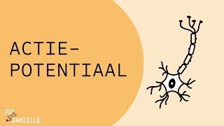 Actiepotentiaal