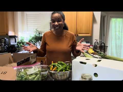 Practical tips to saving money on food!