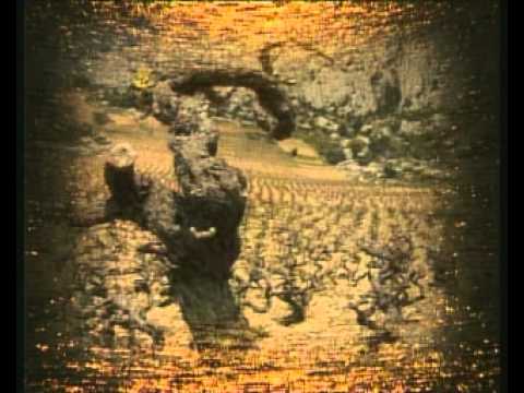 Pripovid o Dalmaciji (klapska antologija)