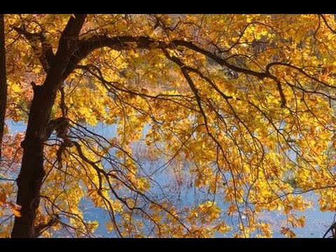 download lagu mp3 mp4 Paul Goodman Poems, download lagu Paul Goodman Poems gratis, unduh video klip Paul Goodman Poems