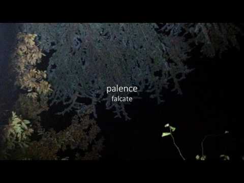 palence - falcate [Full EP]