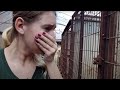 Help save dogs in the dog meat trade!
