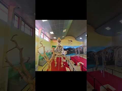 😲 ¿Gigantes en Guatemala? Museo de Estanzuela Zacapa