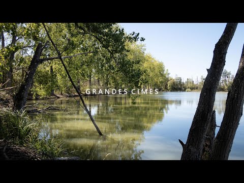 Venue videos photo 3