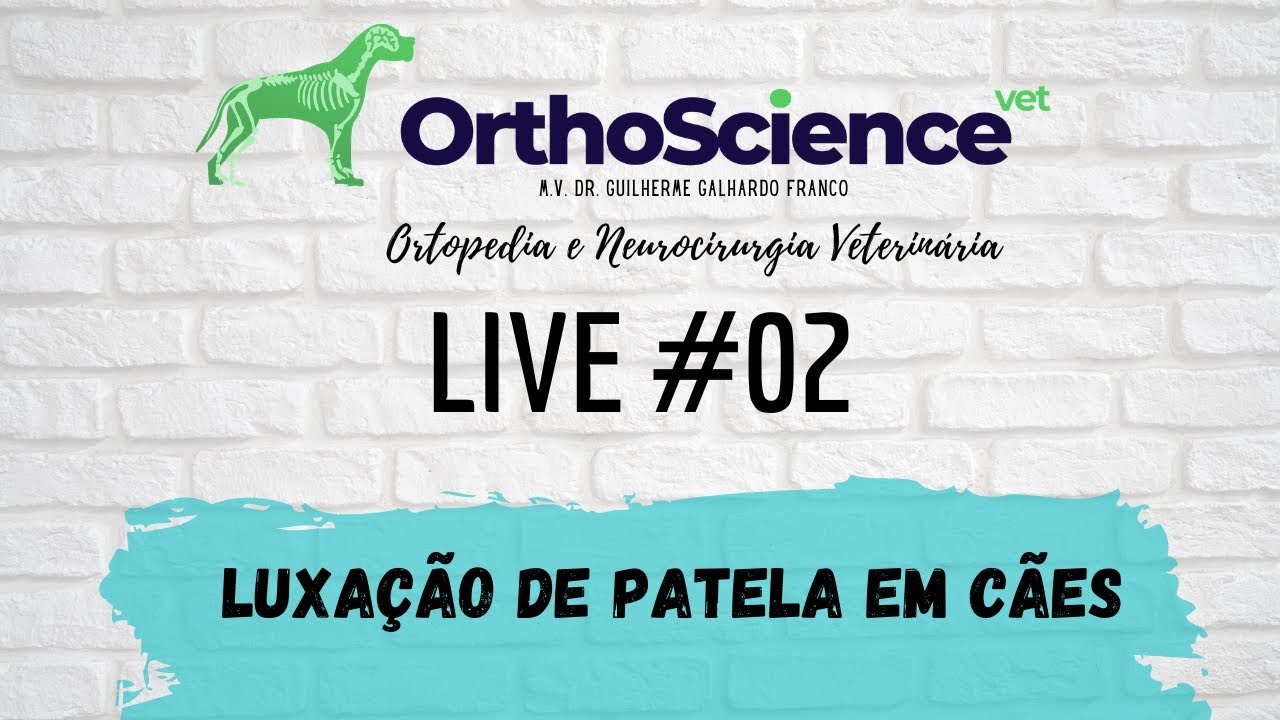 Live #02 - Luxação de Patela em cães