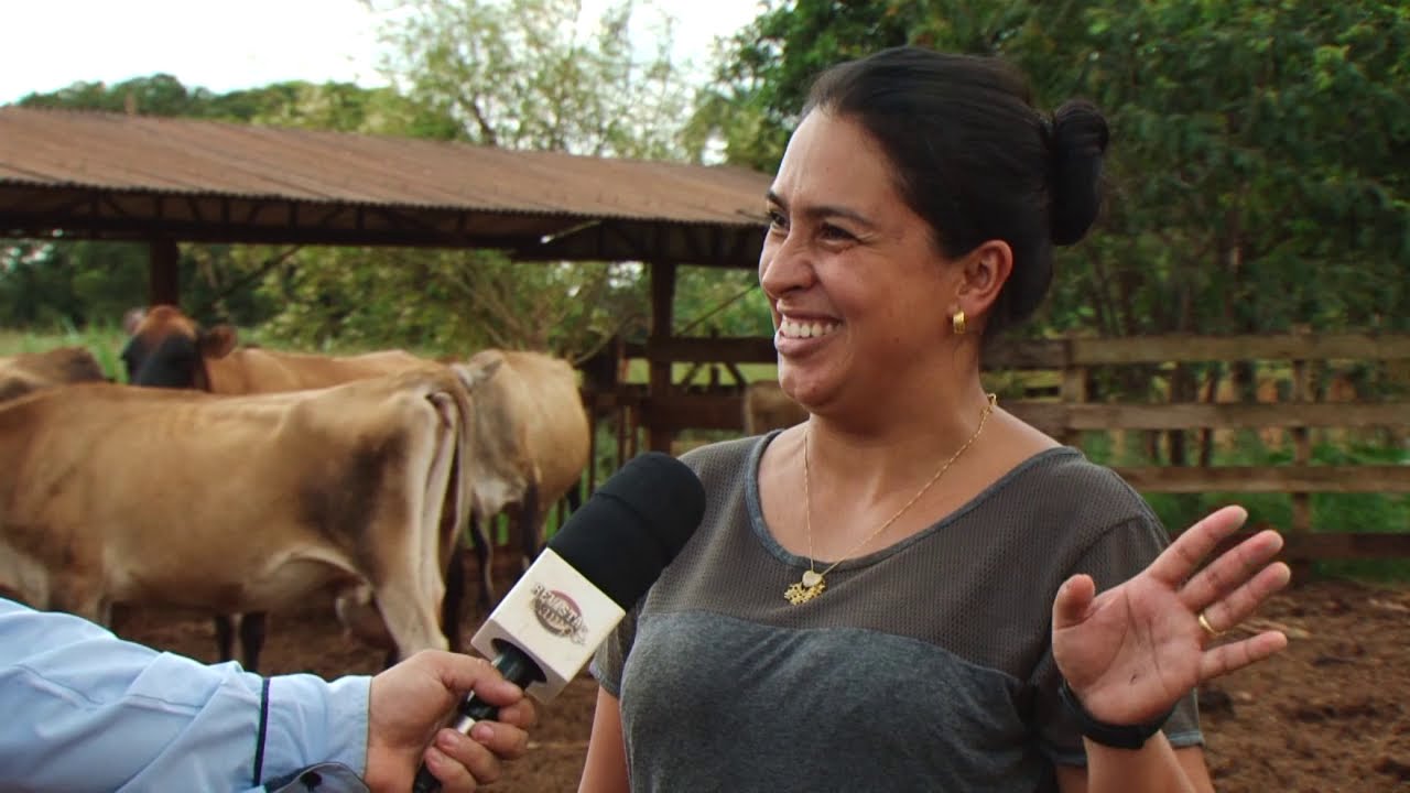 Producer invests in technological innovation and obtains great results in milk 