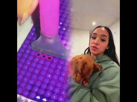 Are we too strict?😳#fyp #puppy #viral