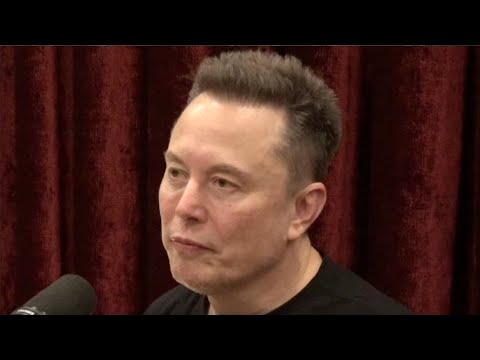 Elon Musk: Professional Fraud Rings Are Running America - Joe Rogan