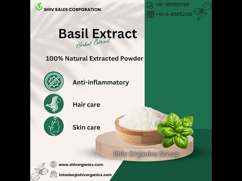 Basil dry extract, 5 kg, leaves