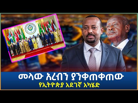 አፍሪካ ተነቃነቀች! - መላው አረብን ያንቀጠቀጠው የኢትዮጵያ አደገኛ አካሄድ! | Ethiopia