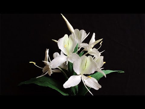 ABC TV | How To Make White Ginger Paper Flower From Crepe Paper - Craft Tutorial
