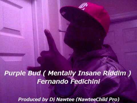 Purple Bud - Fernando Fedichini ( produced by Dj Nawtee ).wmv