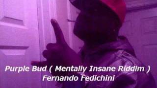 Purple Bud - Fernando Fedichini ( produced by Dj Nawtee ).wmv
