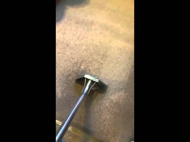 ע"י חברת גל אור ניקוי שטיחים