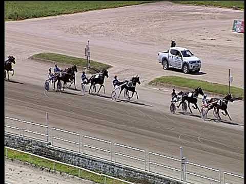 Trotto 13/06/2019 - 3ª corsa