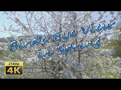 Birds Eye View of Altrich in Spring - Germany 4K Travel Channel